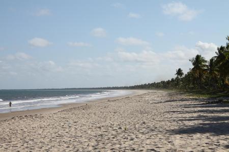 Langer Sandstrand bei Itacare mit Palmen in Hintergrund