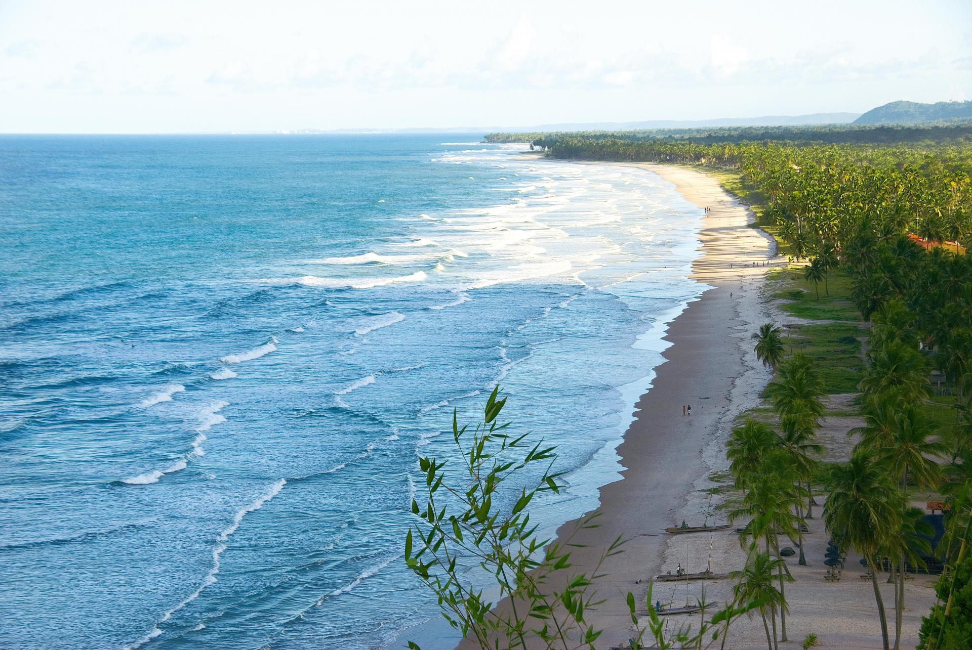 Tagestour Wanderung zum Strand Prainha (4h, privat): Blick von oben über Strand und Regenwald bei Itacare