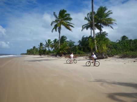 Zwei Fahrradfahrer stehen vor hohen Kokospalmen am Strand