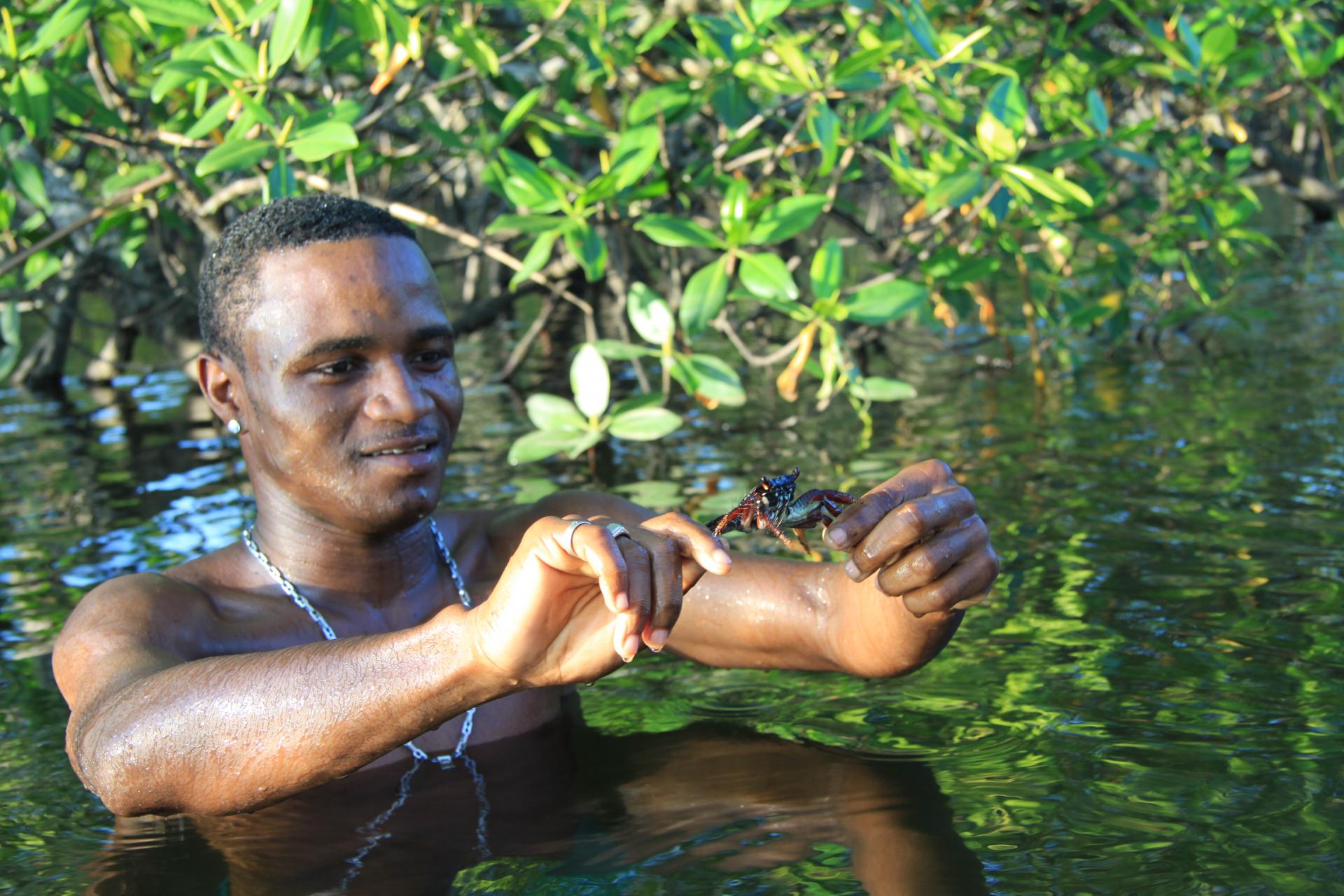 Tagestour Mangroventour im Einbaum mit Mittagessen (4h, privat): Einheimischer zeigt gefangenen Krebs