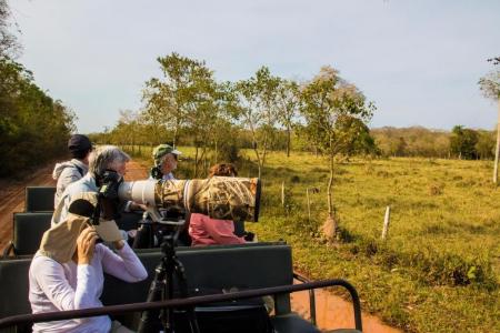 Tierbeobachtung per Jeep Pousada Aguapé