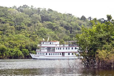 Motoryacht Tucano inmitten der Natur des Regenwaldes 