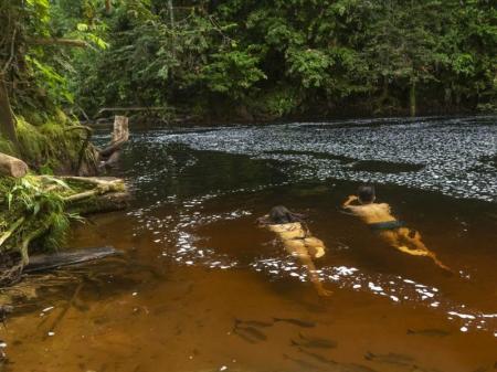 Zwei Schwimmer im Amazonas-Regenwald