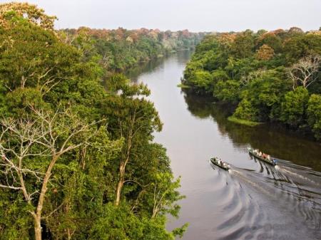 Bootsausflug im Amazonas-Regenwald