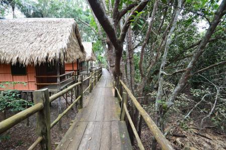 Stege vor den Bungalows der Tariri Amazon Lodge