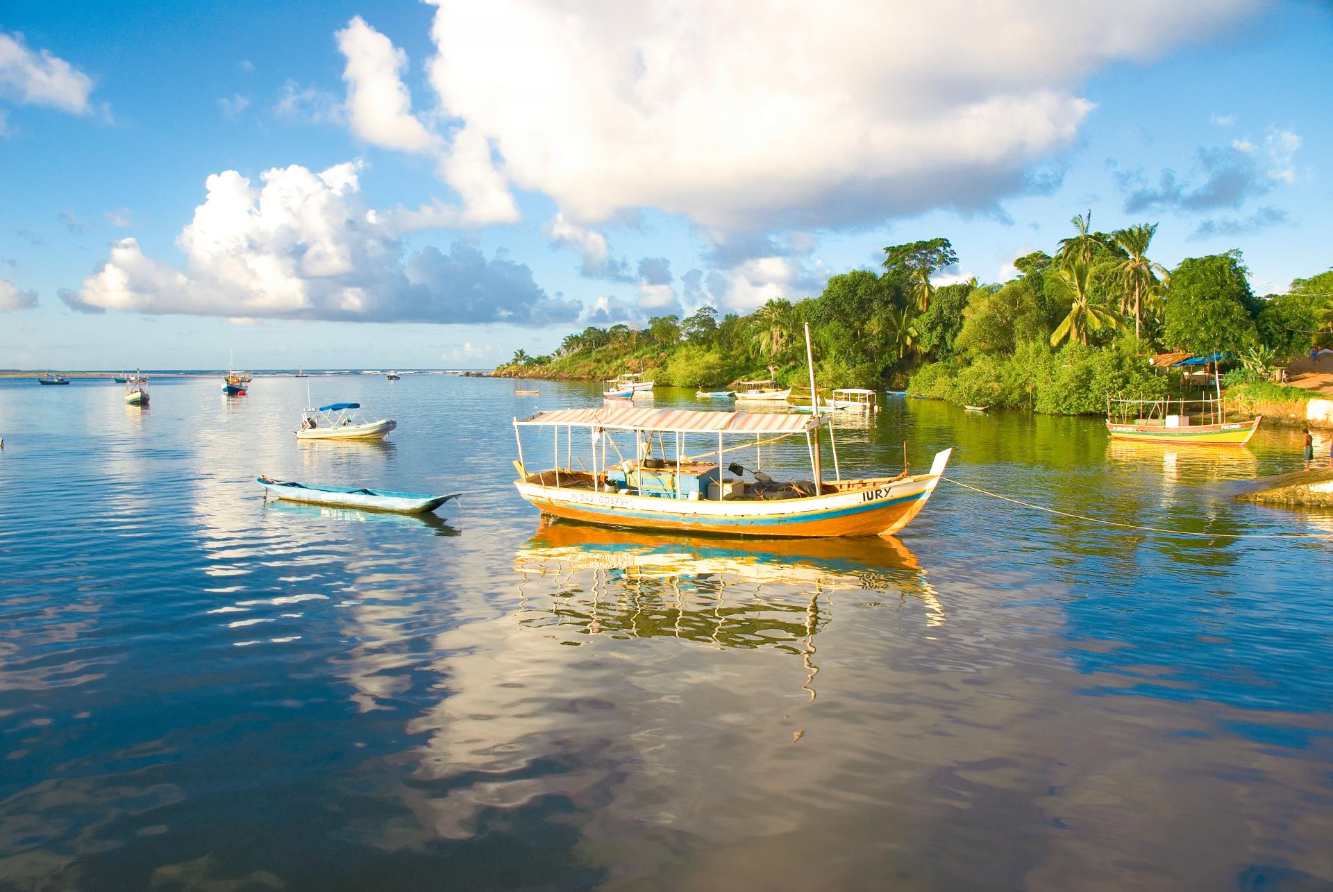 Mit dem Mietwagen von Salvador nach Bahia nach Ilheus: Entdecken Sie Strände, Kultur und Atlantischer Regenwald