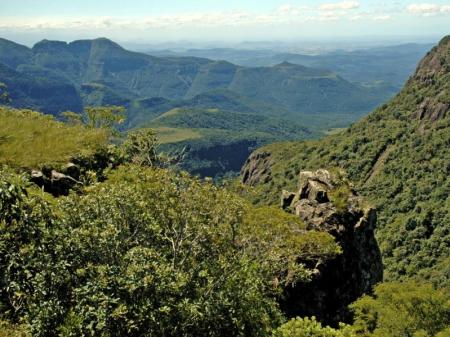 Ein grünes Paradies im Tijuca Nationalpark