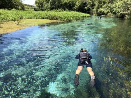 Ein Schnorchler treibt im Rio Sucuri, Bonito, Brasilien